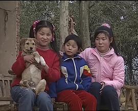 大地的拂晓：中国农村少女和丰田的10年