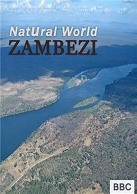 自然世界：赞比西河