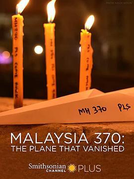 马航370：消失的飞机