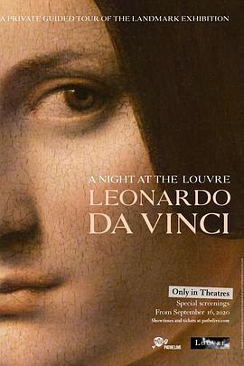 卢浮宫之夜：列奥纳多·达芬奇