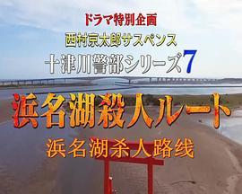 西村京太郎悬疑推理.十津川警部系列7浜名湖杀人路线