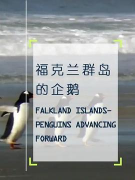 企鹅之岛：福克兰