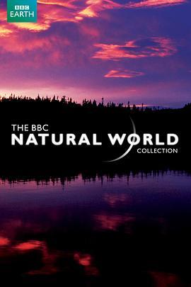 BBC自然世界2010神秘的豹