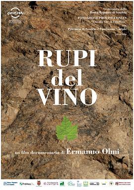 Rupidelvino