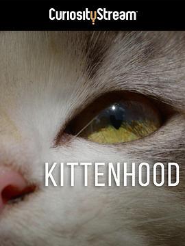 Kittenhood