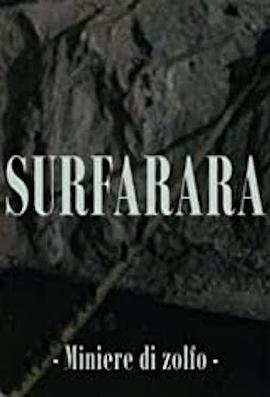 Surfarara