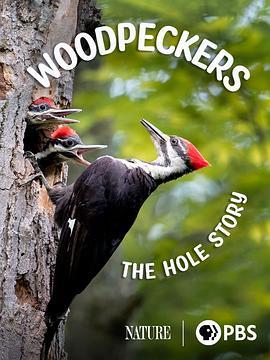 Woodpeckers:TheHoleStory