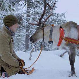 ReindeerFamily&Me