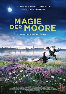 MagiederMoore