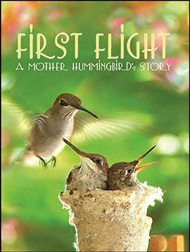 FirstFlight:AMotherHummingbird'sStory